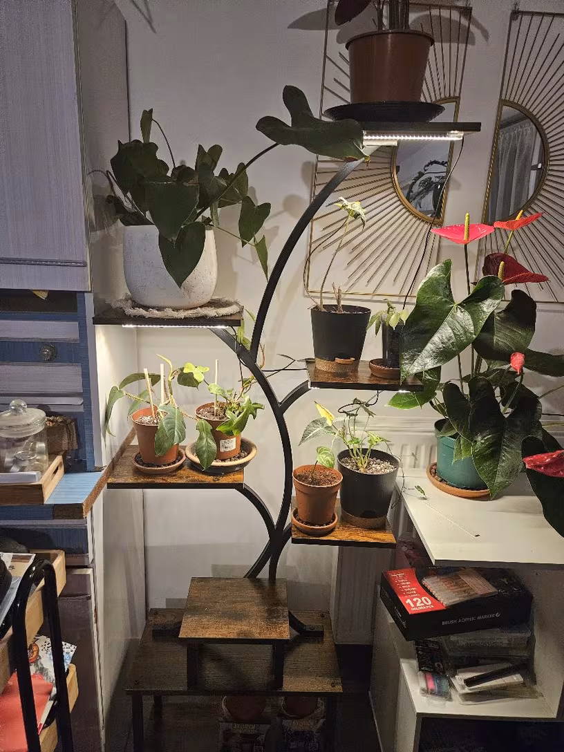 8-tier plant stand with grow lights in a living space