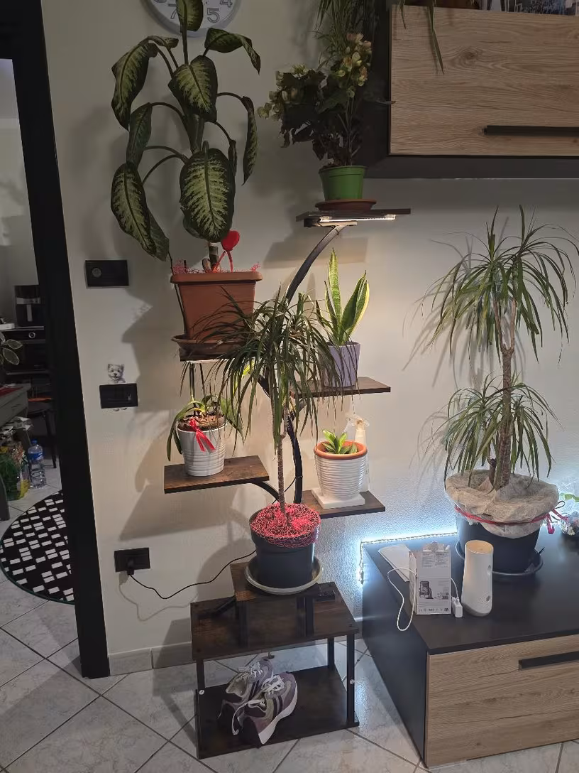 Multi-tier plant stand with plants and grow lights